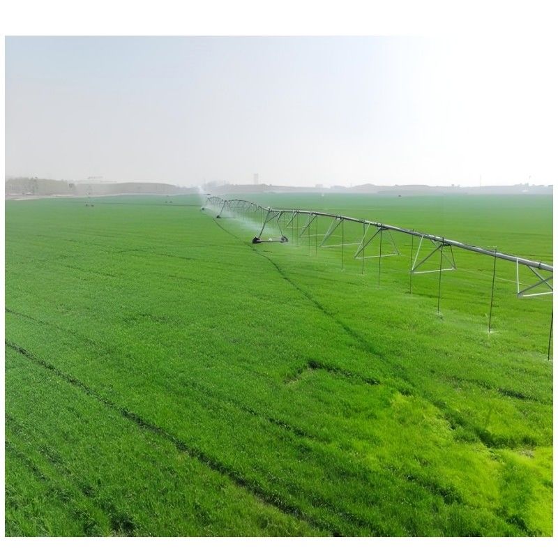 Sistema di irrigazione laterale senza fili per la coltivazione di ortaggi Scatena il potenziale della tua azienda agricola